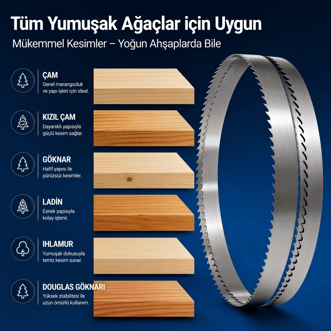 Woodcut Classic Ağaç Kesim Şerit Testeresi - Görsel 4