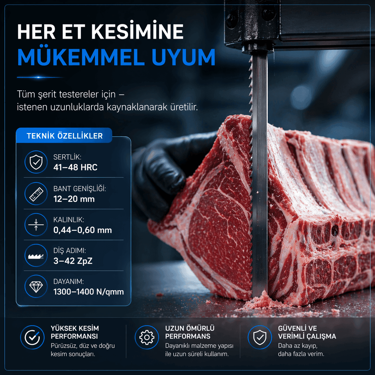 Hijyenik Et & Kemik Pro Şerit Testere Bıçağı - Görsel 3